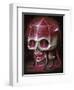 Rubyrat-Jason Limon-Framed Premium Giclee Print