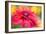 RUDBECKIA-Jacky Parker-Framed Giclee Print