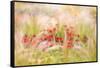 Rudbeckia-Jacky Parker-Framed Stretched Canvas