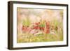 Rudbeckia-Jacky Parker-Framed Giclee Print