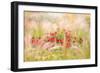 Rudbeckia-Jacky Parker-Framed Giclee Print