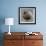 Ruddy-Headed Goose (Chloephaga Rubidiceps), Sea Lion Island, Falkland Islands, South America-Eleanor Scriven-Framed Photographic Print displayed on a wall