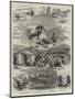 Rude Stone Monuments-Thomas Sulman-Mounted Giclee Print