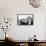 Rudolf Nureyev, 1964-null-Framed Stretched Canvas displayed on a wall