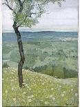 View from the Hill-Rudolf Sieck-Photographic Print