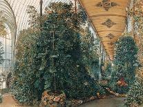The Old Spruce in Bad Gastein, 1899-Rudolf von Alt-Giclee Print