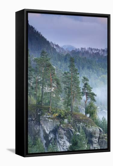 Rudolfuv Kamen Hillside with Light Mist, Ceske Svycarsko - Bohemian Switzerland Np, Czech Republic-Ruiz-Framed Stretched Canvas