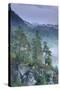 Rudolfuv Kamen Hillside with Light Mist, Ceske Svycarsko - Bohemian Switzerland Np, Czech Republic-Ruiz-Stretched Canvas