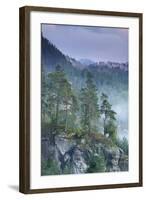 Rudolfuv Kamen Hillside with Light Mist, Ceske Svycarsko - Bohemian Switzerland Np, Czech Republic-Ruiz-Framed Photographic Print