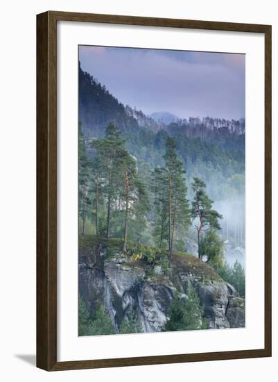 Rudolfuv Kamen Hillside with Light Mist, Ceske Svycarsko - Bohemian Switzerland Np, Czech Republic-Ruiz-Framed Photographic Print