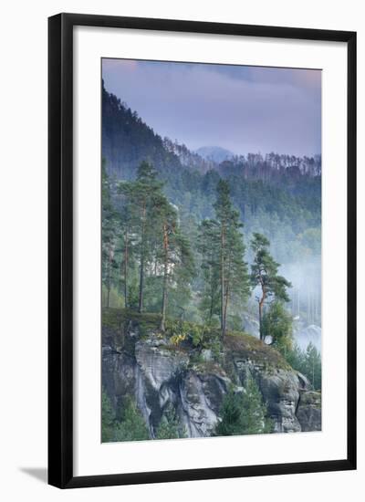 Rudolfuv Kamen Hillside with Light Mist, Ceske Svycarsko - Bohemian Switzerland Np, Czech Republic-Ruiz-Framed Photographic Print