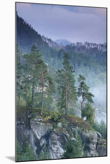 Rudolfuv Kamen Hillside with Light Mist, Ceske Svycarsko - Bohemian Switzerland Np, Czech Republic-Ruiz-Mounted Photographic Print