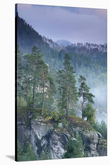 Rudolfuv Kamen Hillside with Light Mist, Ceske Svycarsko - Bohemian Switzerland Np, Czech Republic-Ruiz-Stretched Canvas