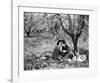 Rudolph Valentino with Alla Nazimova Under Blossom Tree, 1921-null-Framed Art Print