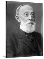 Rudolph Virchow, German Polymath-Science Source-Stretched Canvas