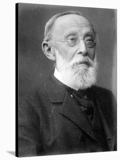 Rudolph Virchow, German Polymath-Science Source-Stretched Canvas