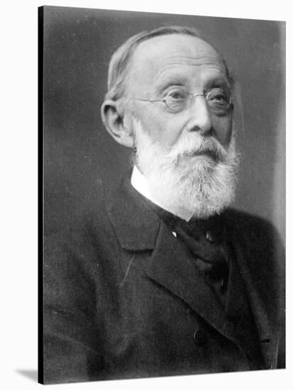 Rudolph Virchow, German Polymath-Science Source-Stretched Canvas