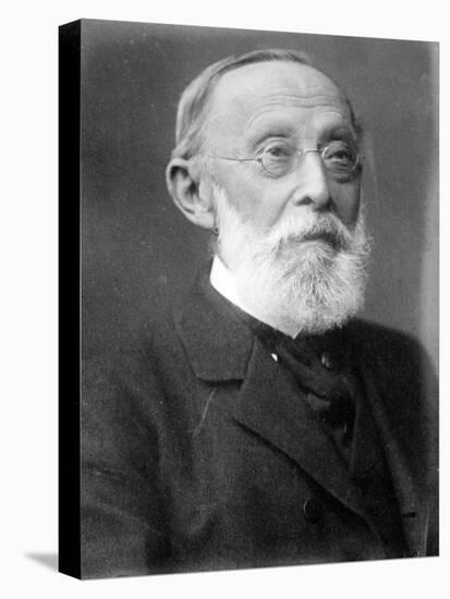 Rudolph Virchow, German Polymath-Science Source-Stretched Canvas