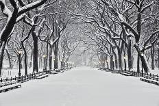 Brownstones in Blizzard-Rudy Sulgan-Photographic Print