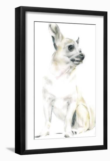 Rudy The Chihuahua-Kellas Campbell-Framed Giclee Print