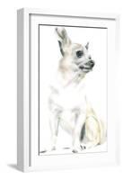 Rudy The Chihuahua-Kellas Campbell-Framed Giclee Print