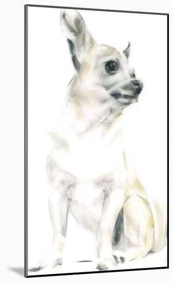 Rudy The Chihuahua-Kellas Campbell-Mounted Giclee Print