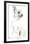 Rudy The Chihuahua-Kellas Campbell-Framed Giclee Print