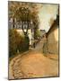 Rue De La Princesse, Louveciennes, Looking North, C.1873 (Oil on Canvas)-Alfred Sisley-Mounted Giclee Print