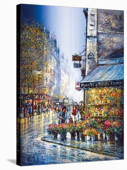 Rue du Bac-Guy Dessapt-Stretched Canvas