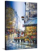 Rue du Bac-Guy Dessapt-Stretched Canvas