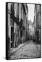 Rue Du Jardinet, from Passage Hautefeuille, Paris, 1858-78-Charles Marville-Framed Stretched Canvas