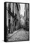 Rue Du Jardinet, from Passage Hautefeuille, Paris, 1858-78-Charles Marville-Framed Stretched Canvas