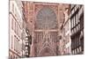 Rue Merciere and Strasbourg Cathedral, Strasbourg, Bas-Rhin, Alsace, France, Europe-Julian Elliott-Mounted Photographic Print