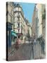 Rue Saint-Andr?es Arts, 2014-Peter Brown-Stretched Canvas