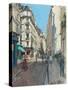 Rue Saint-Andr?es Arts, 2014-Peter Brown-Stretched Canvas