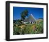 Ruegen, Mecklenburg Germany-null-Framed Art Print