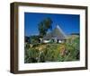 Ruegen, Mecklenburg Germany-null-Framed Art Print