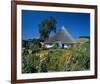 Ruegen, Mecklenburg Germany-null-Framed Art Print