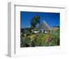 Ruegen, Mecklenburg Germany-null-Framed Art Print