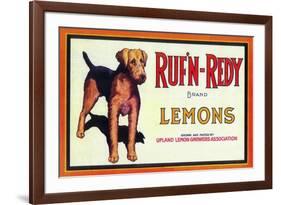 Ruf n' Redy Lemon Label - Upland, CA-Lantern Press-Framed Premium Giclee Print