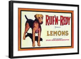 Ruf n' Redy Lemon Label - Upland, CA-Lantern Press-Framed Art Print