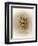 Ruff and Tuft-Peggy Harris-Framed Premium Giclee Print