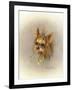 Ruff and Tuft-Peggy Harris-Framed Giclee Print