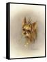 Ruff and Tuft-Peggy Harris-Framed Stretched Canvas