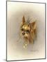 Ruff and Tuft-Peggy Harris-Mounted Giclee Print