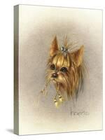 Ruff and Tuft-Peggy Harris-Stretched Canvas