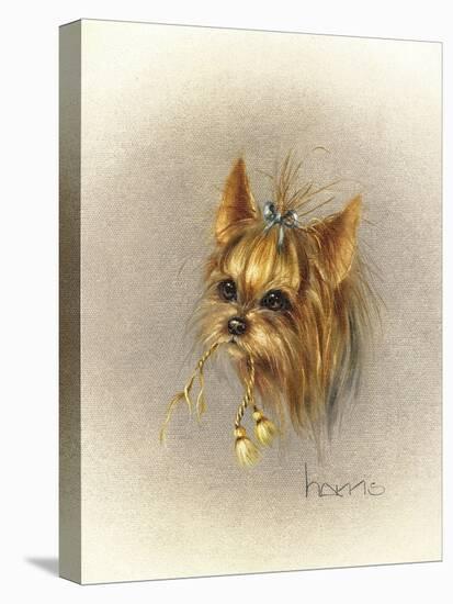 Ruff and Tuft-Peggy Harris-Stretched Canvas