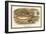 Ruffe and Miller's Thumb-A.f. Lydon-Framed Art Print