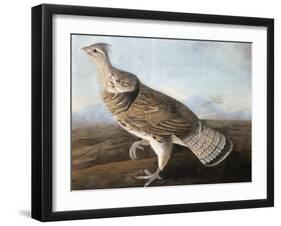 Ruffed Goose, C.1812-John James Audubon-Framed Giclee Print