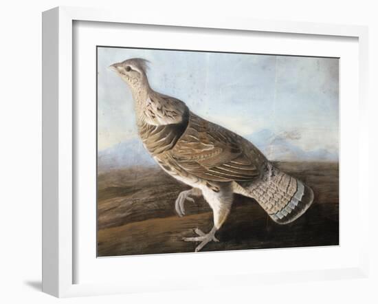 Ruffed Goose, C.1812-John James Audubon-Framed Giclee Print